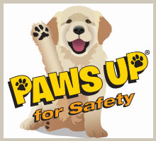 Paws Up for Safety
