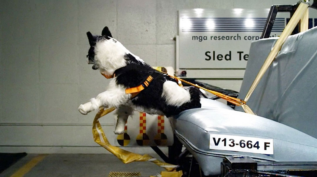 2013 Harness Study Results