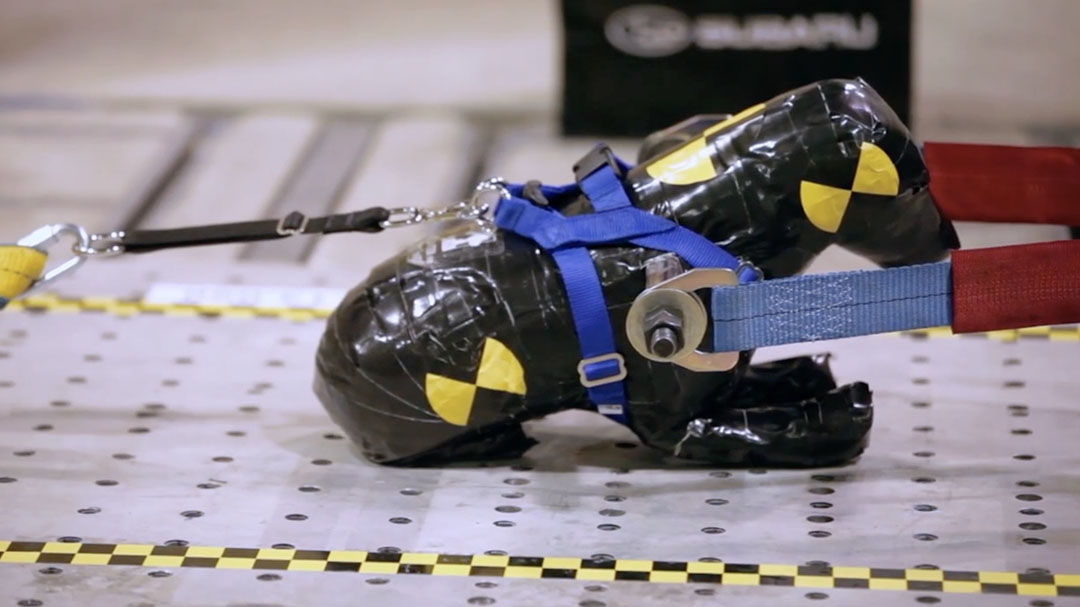 2013 Harness Study – Quasi-Static Tests