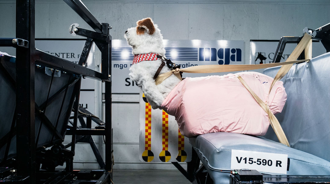 Pet Travel Seat Pilot Study