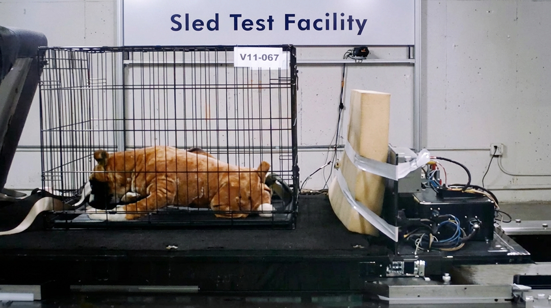 2011 Preliminary Crate Test