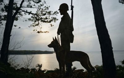 Memorial Day: Honoring Military Working Dogs