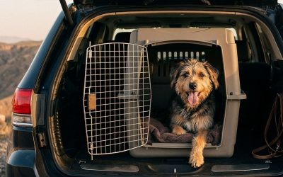 Warning: Cargo Area Connection Advisory