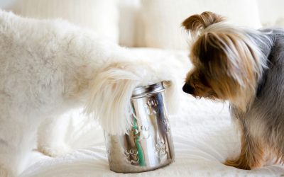 Warning: Preventing Pet Food Container Suffocation