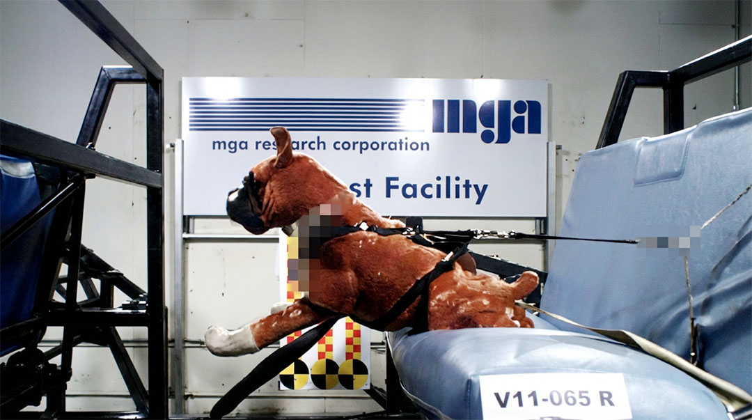 2011 Harness Pilot Study