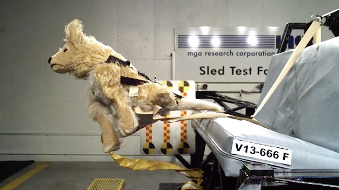 Case Study – Allsafe Harness